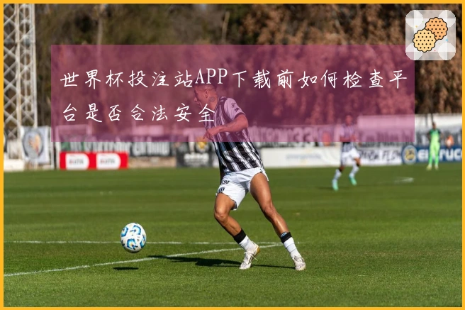 世界杯投注站APP下载前如何检查平台是否合法安全