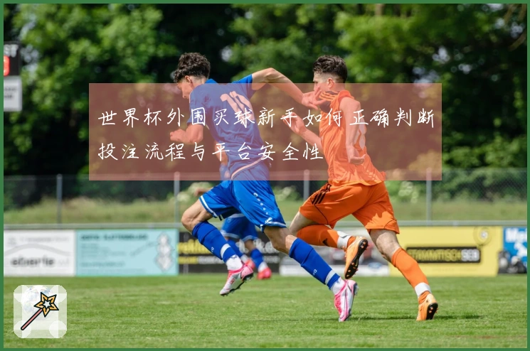 世界杯外围买球新手如何正确判断投注流程与平台安全性