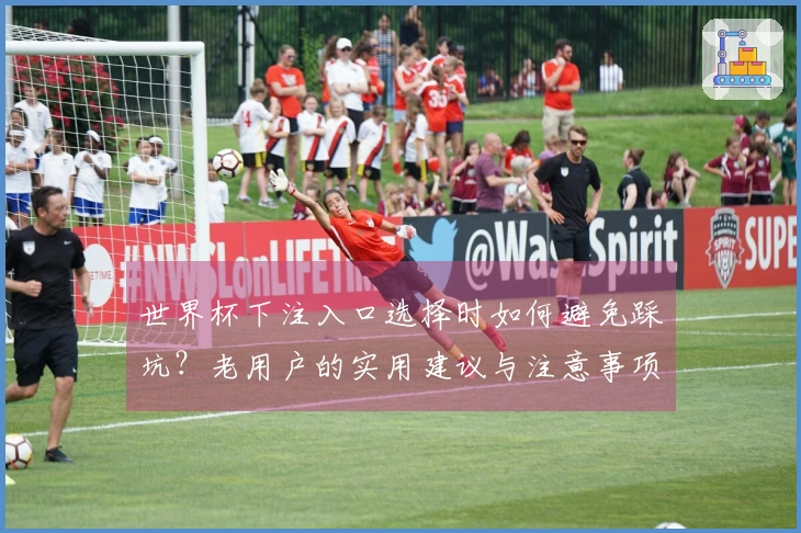 世界杯下注入口选择时如何避免踩坑？老用户的实用建议与注意事项