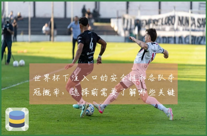 世界杯下注入口的安全性和各队夺冠概率，选择前需要了解哪些关键因素
