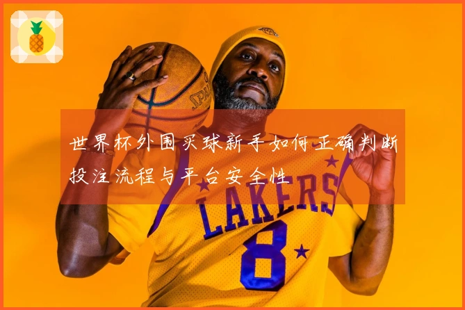 世界杯外围买球新手如何正确判断投注流程与平台安全性