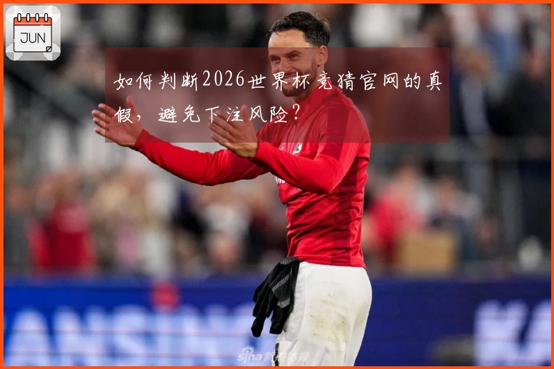如何判断2026世界杯竞猜官网的真假，避免下注风险？